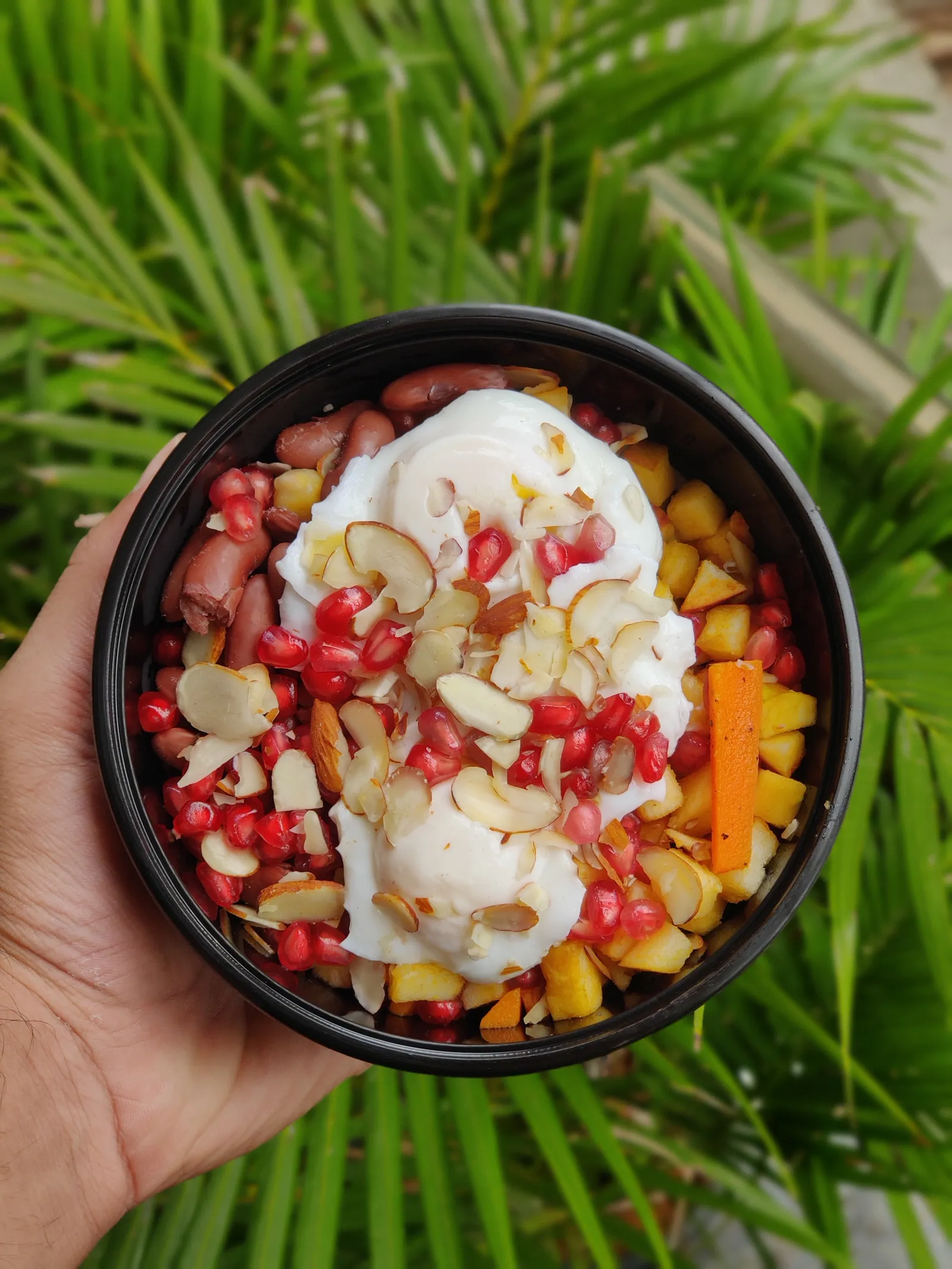 Balanced with egg — everyday plate with egg
