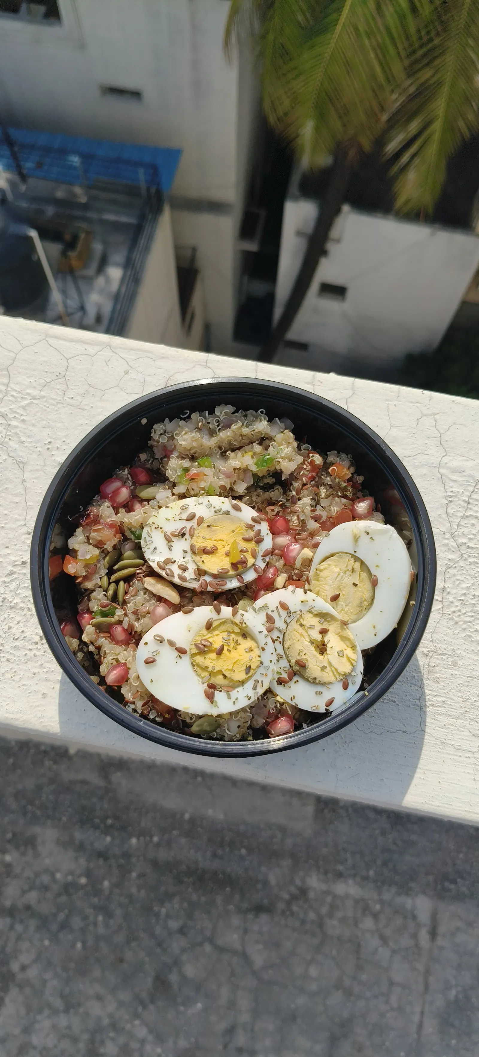 Weight Loss with egg — lean plate with egg protein
