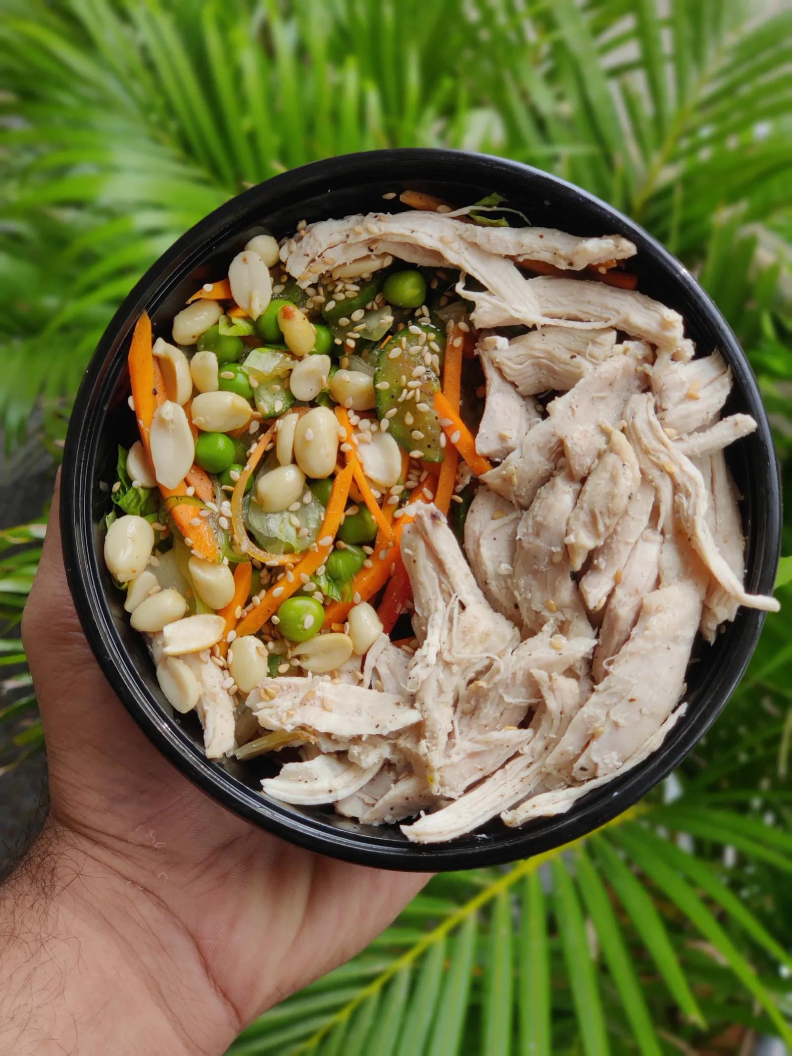 Weight Loss non-vegetarian — lean plate with chicken/fish